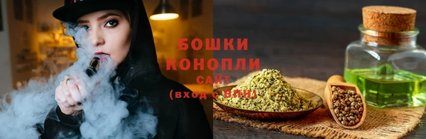 трава Белокуриха