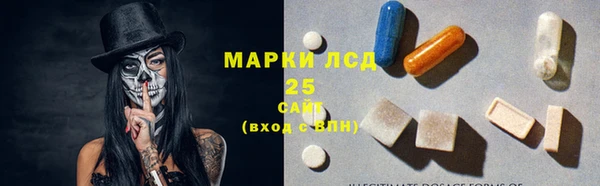 стаф Белоозёрский