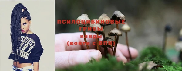 ALPHA PVP Арсеньев