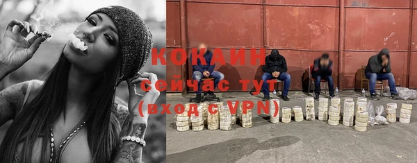 трава Белокуриха