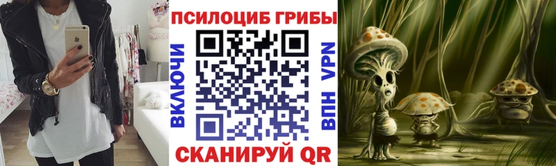 Галлюциногенные грибы GOLDEN TEACHER  Чудово 